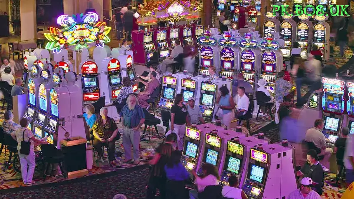 Cassino ao Vivo 144bet - Dealers Brasileiros Profissionais